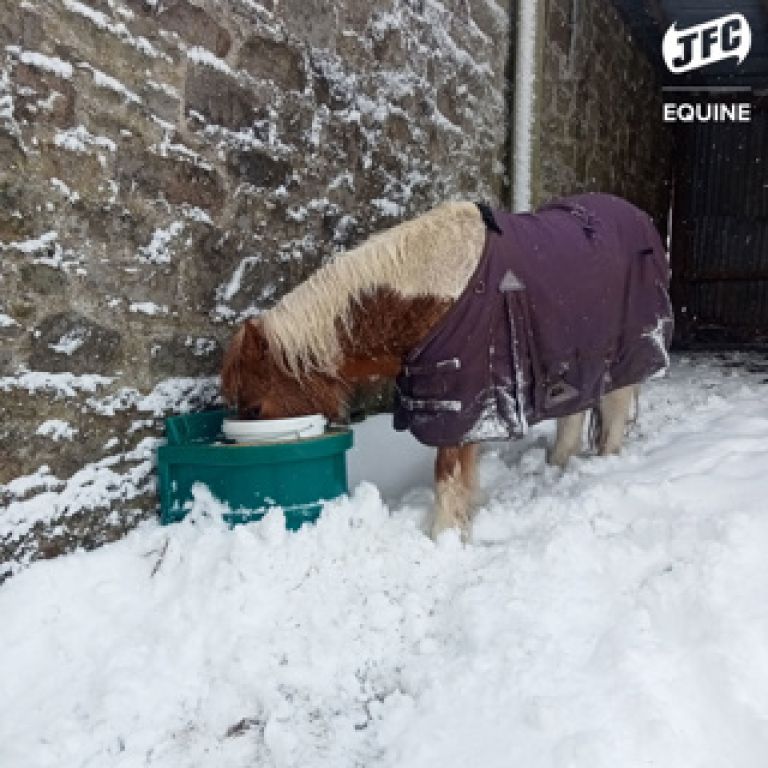 JFC geïsoleerde drinkbak 20 liter